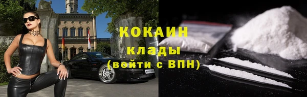 твердый Алексин