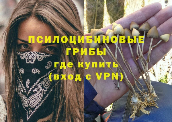 стафф Алзамай