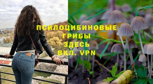 MDMA Premium VHQ Алексеевка