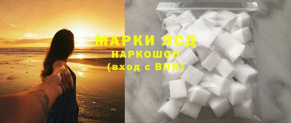 стафф Алзамай