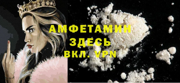 твердый Алексин