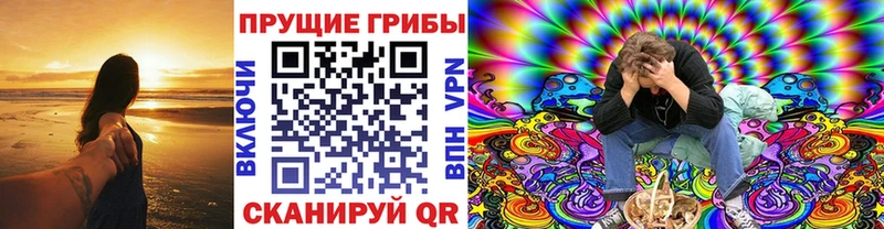 наркотики  нарко площадка как зайти  Псилоцибиновые грибы мицелий  Петровск-Забайкальский  omg ссылка 