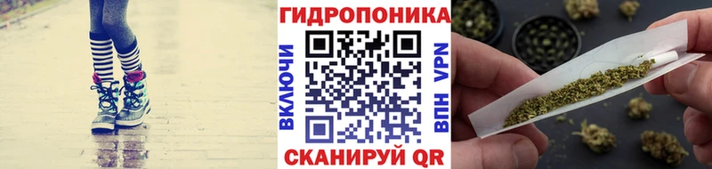 где найти наркотики  Петровск-Забайкальский  Марихуана марихуана 
